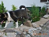 2010_07_08 008.jpg
